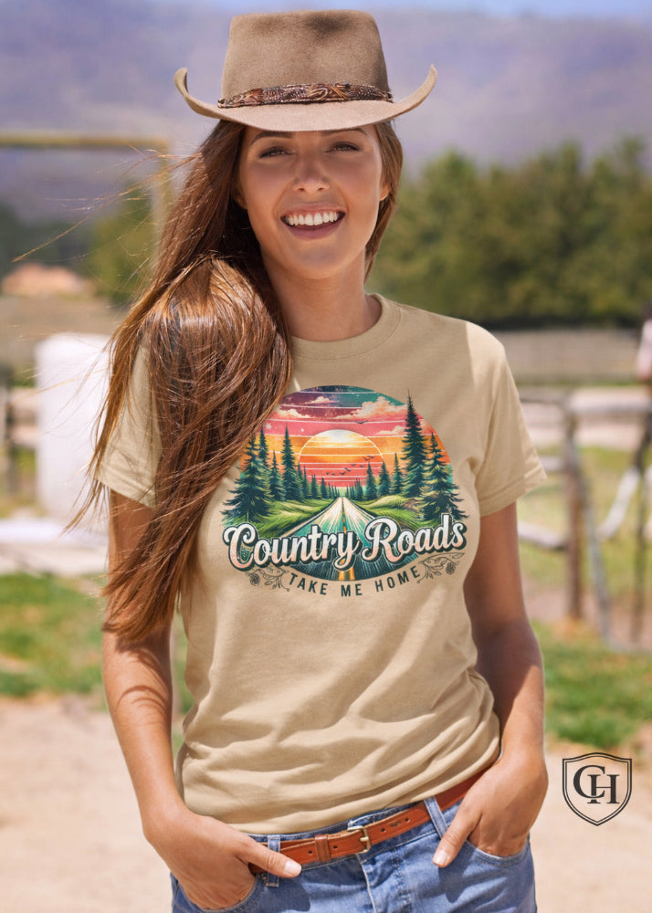 Cottonhill Country Roads heavyweight graphic t-shirt in faded khaki with retro sunset forest highway design